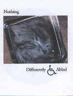 Nothing (USA) : Differently Abled